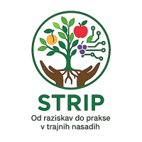 Logo strip 1